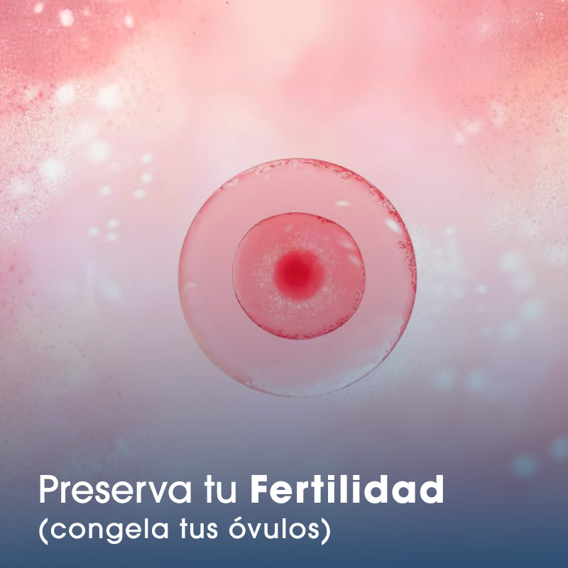 Ovulos congelados