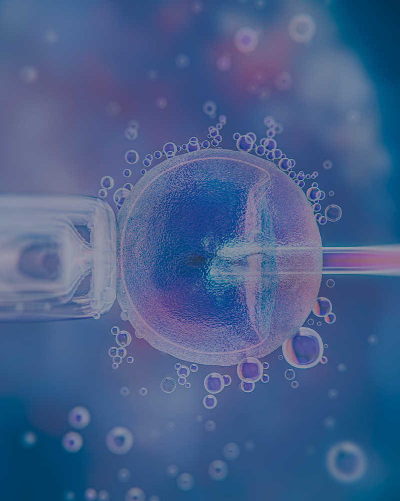 Tratamientos Gametus 1