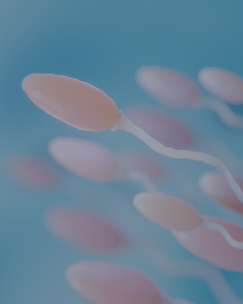 Tratamientos Gametus 8