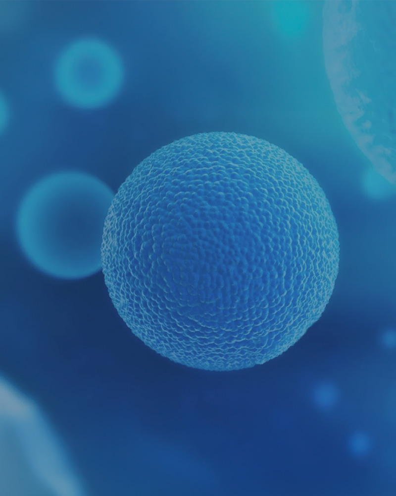 Tratamientos Gametus 9